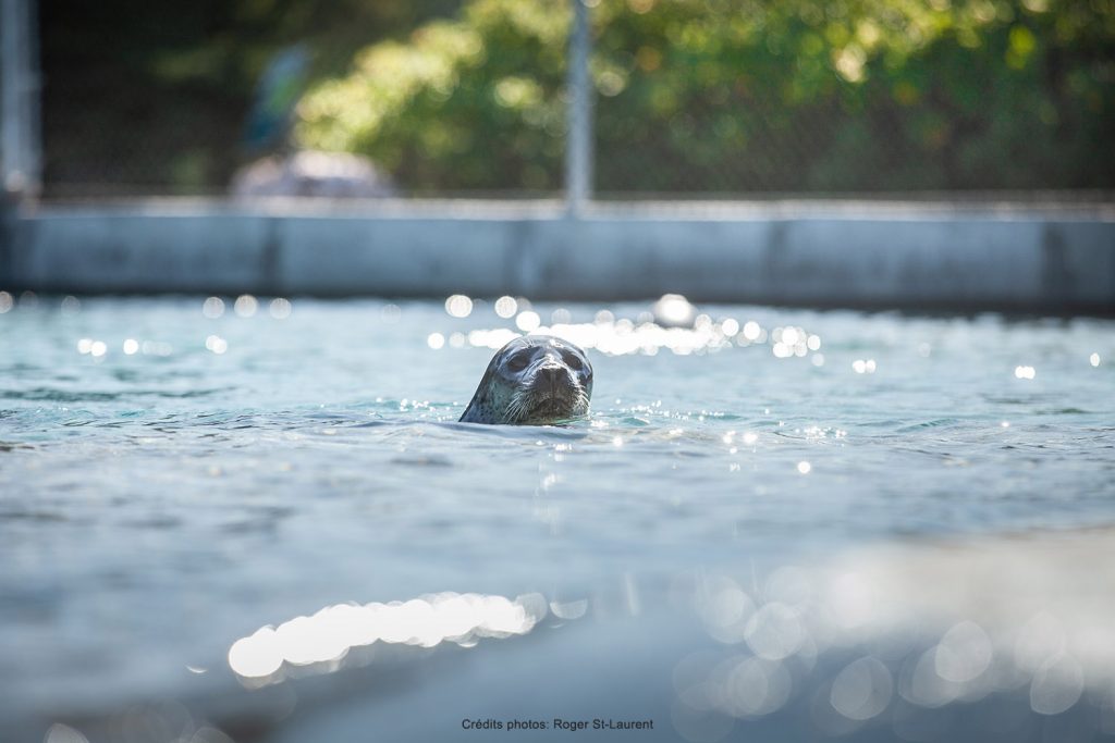 CA et politiques - Bioparc