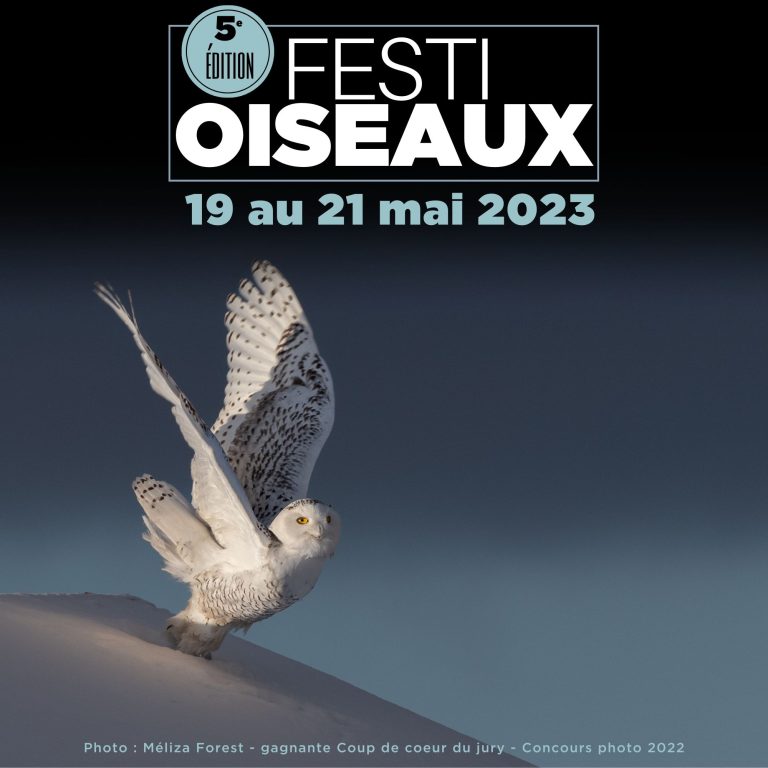 Festi-Oiseaux - Bioparc